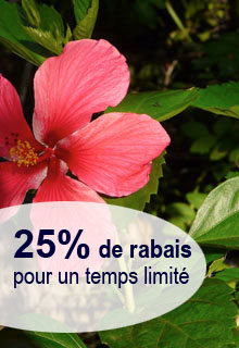 Casa La Via rabais de 25 pourcent