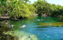 c6 Casa La Via explore the Cenotes 6